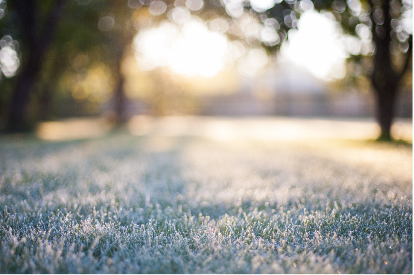 Why is artificial grass a winter-resilient choice?