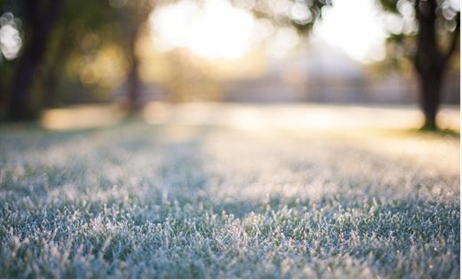 Why is artificial grass a winter-resilient choice?